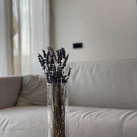 Roemer Apartment Und Zimmer テュルクハイム エクステリア 写真