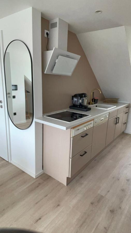 Roemer Apartment Und Zimmer テュルクハイム エクステリア 写真