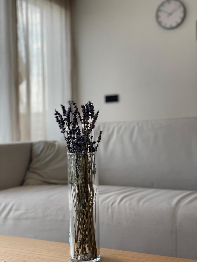 Roemer Apartment Und Zimmer テュルクハイム エクステリア 写真